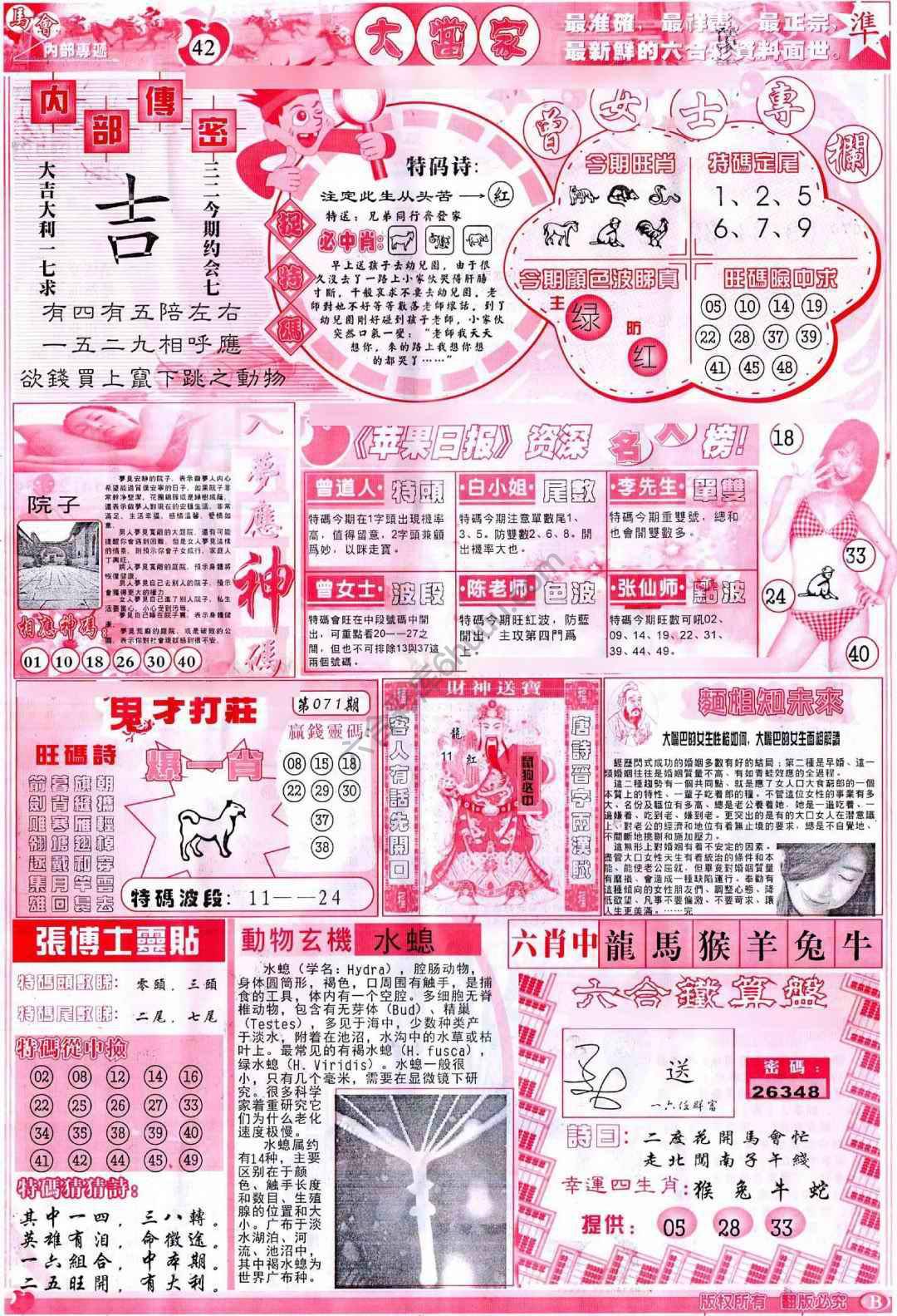 大当家