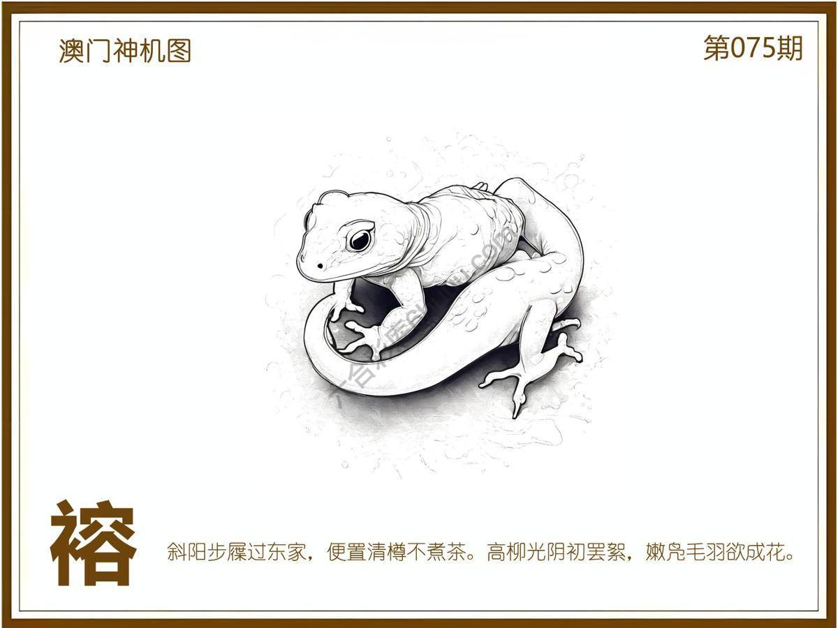 澳门神机图