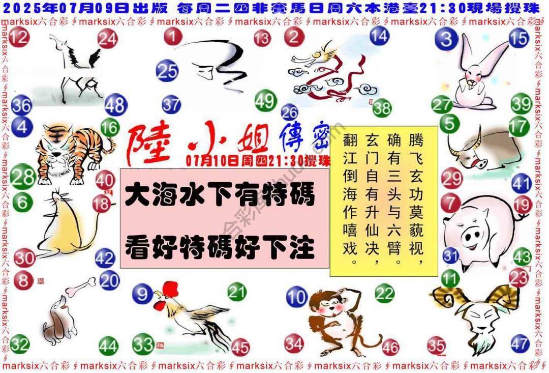陆小姐传密