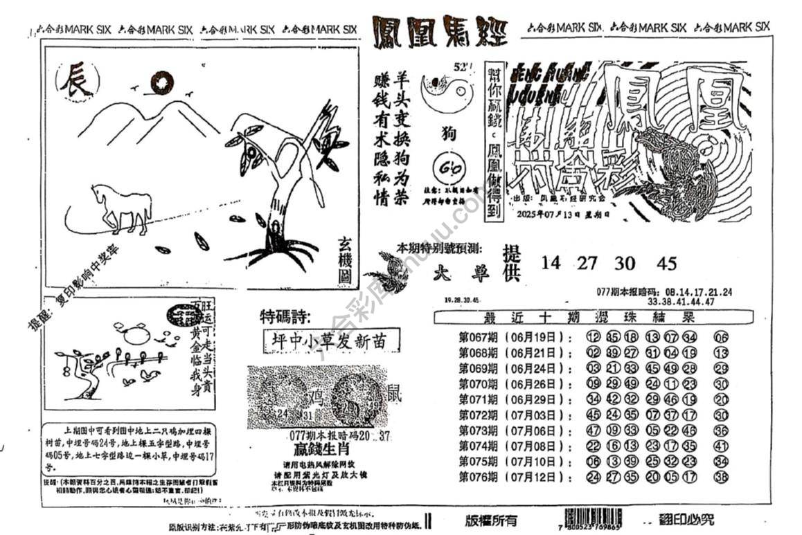 凤凰马经