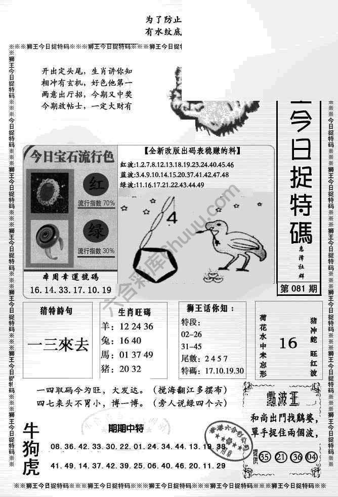 狮王今日抓特码