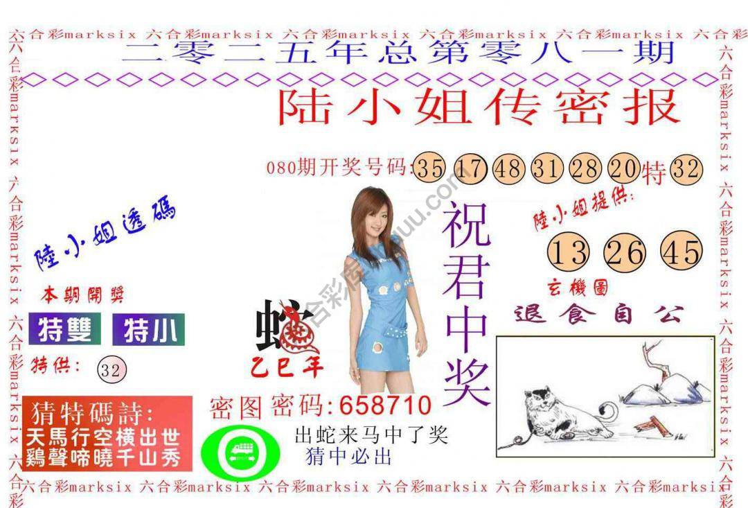 陆小姐传密