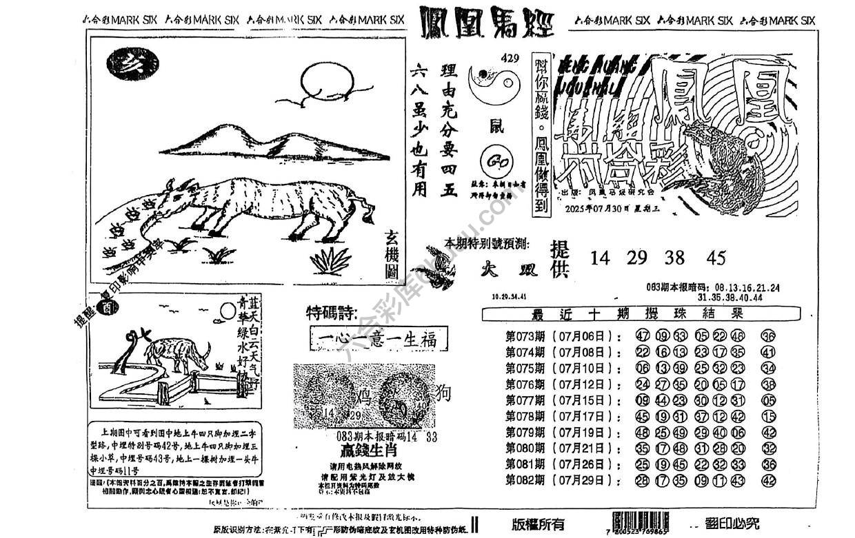 凤凰马经