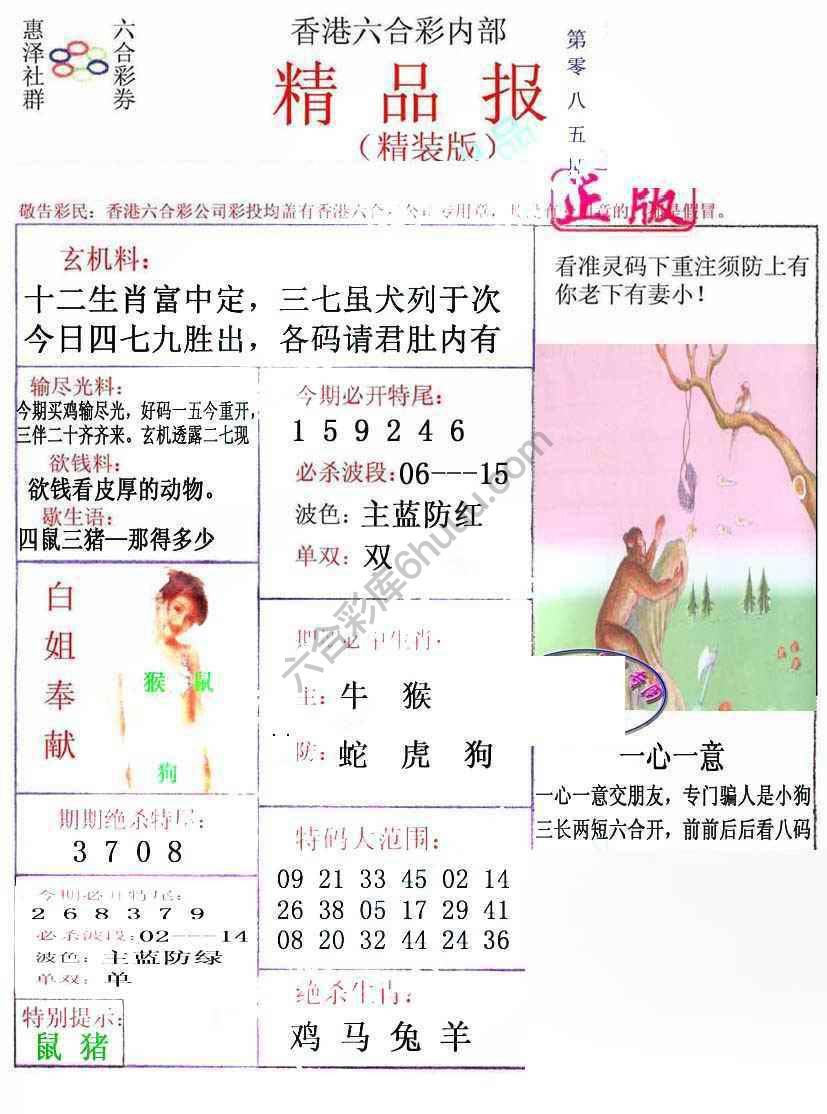 新精品报