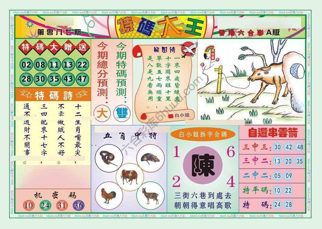 特码大王