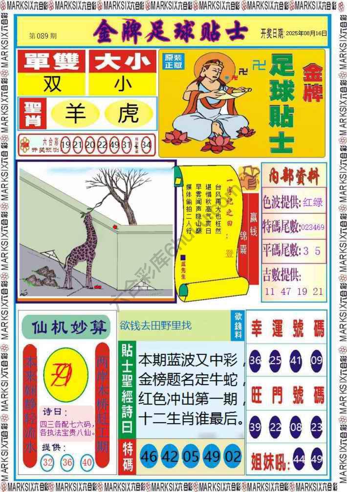 金牌足球贴士