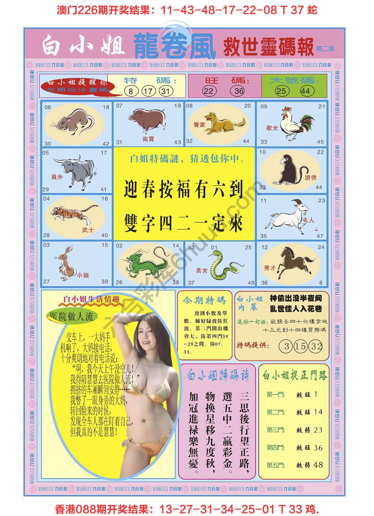 白小姐龙卷风