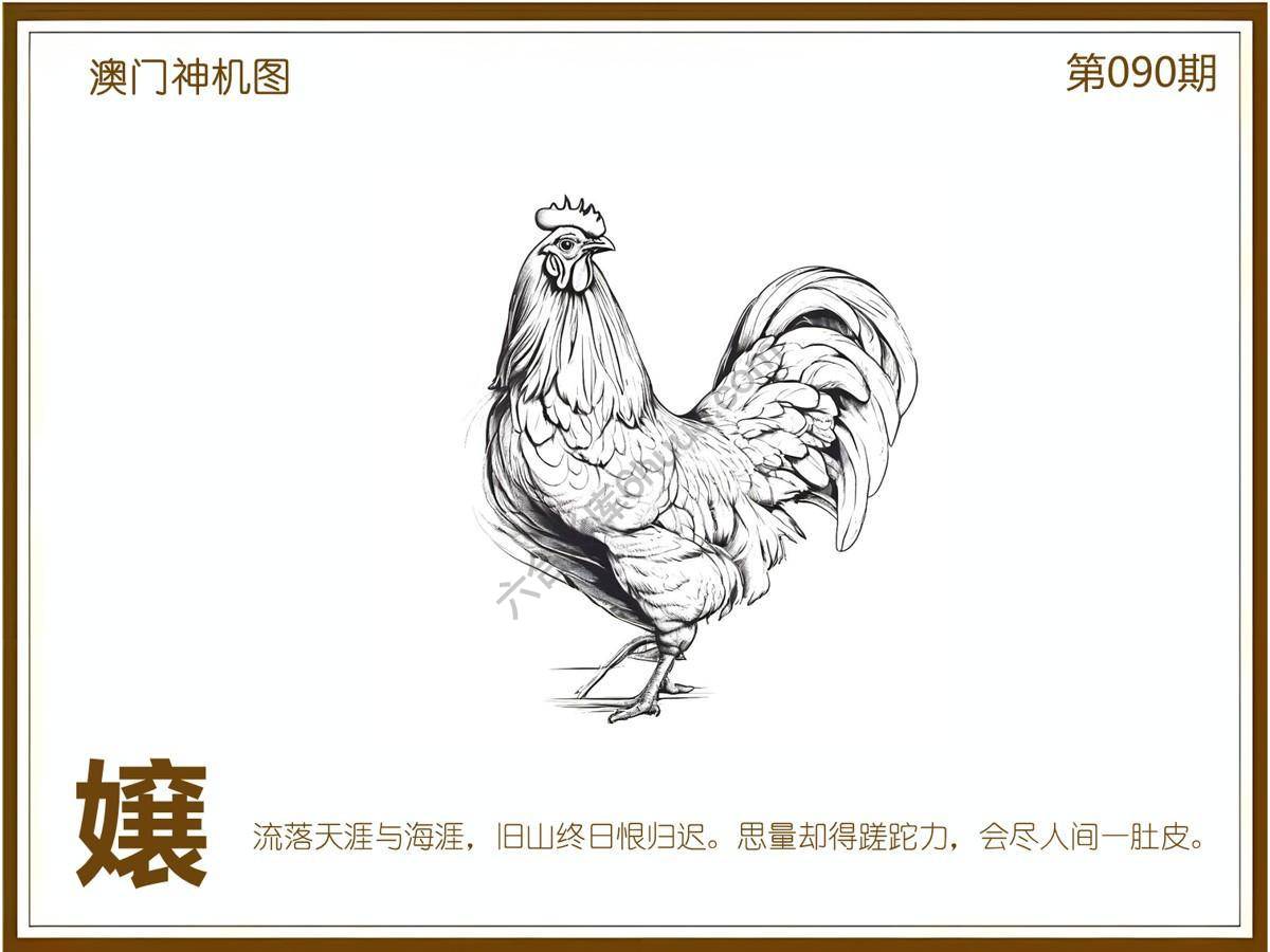 澳门神机图