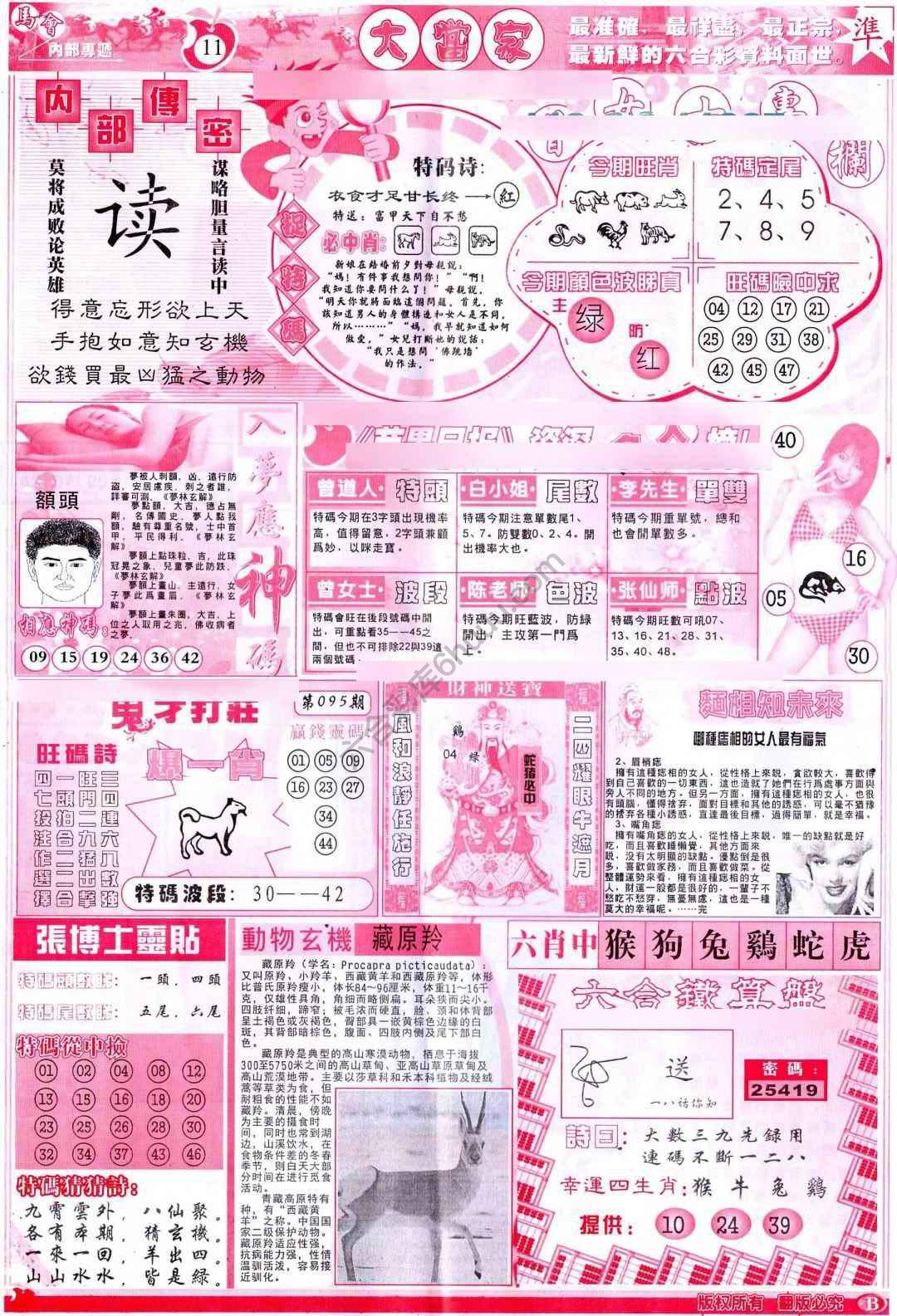 大当家