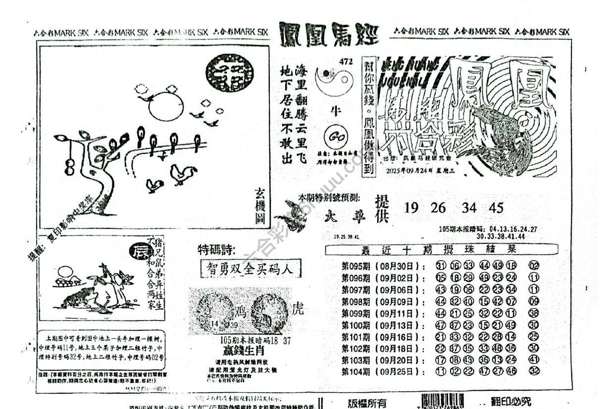 凤凰马经