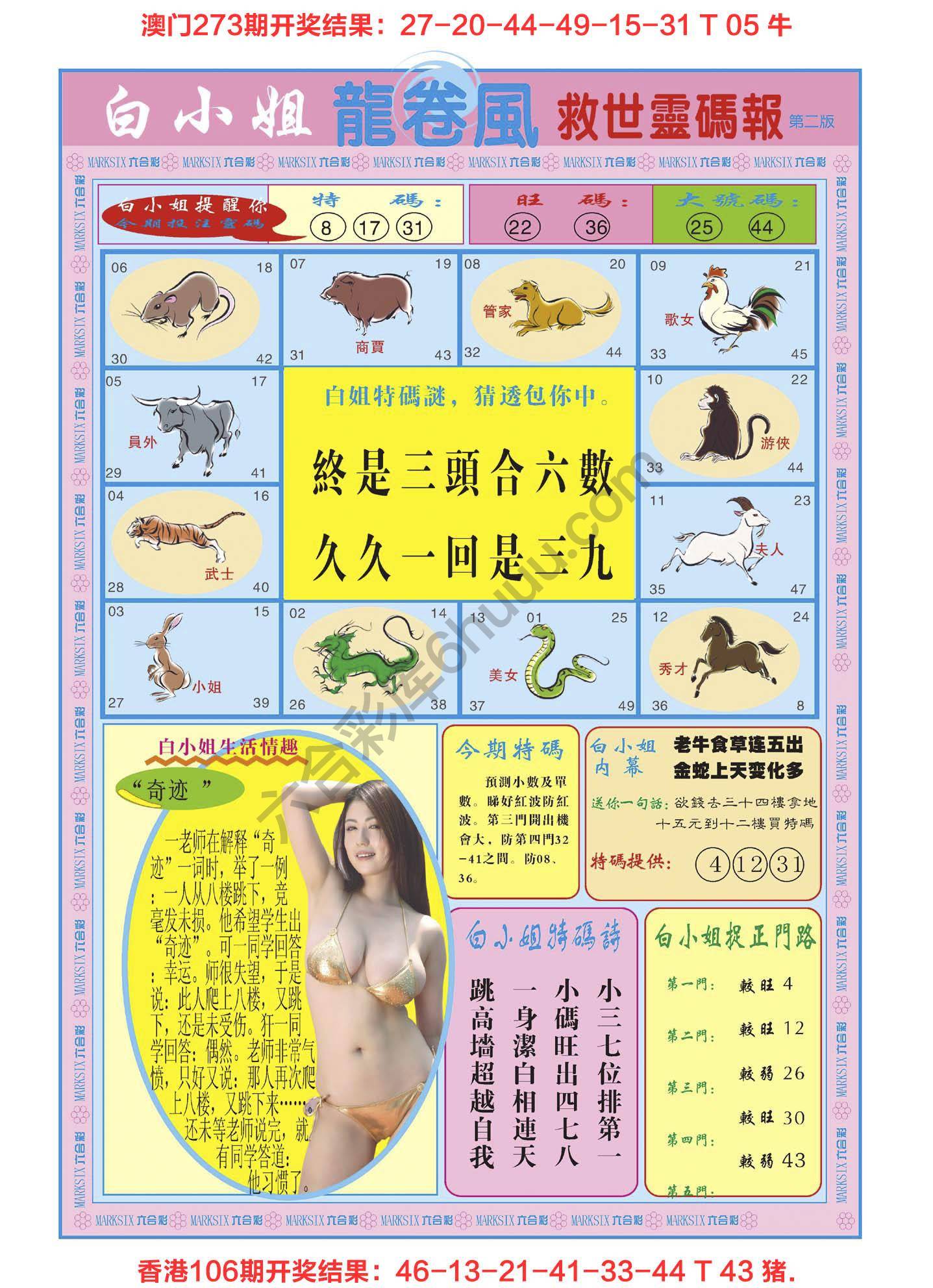 白小姐救世灵码报