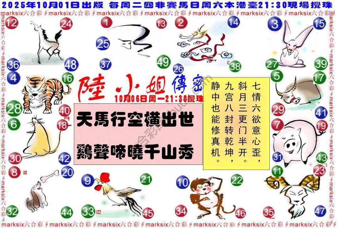 陆小姐传密