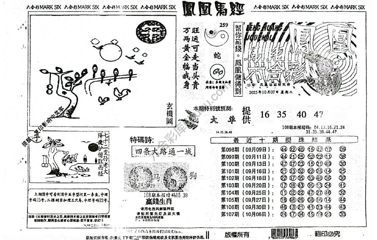 凤凰马经