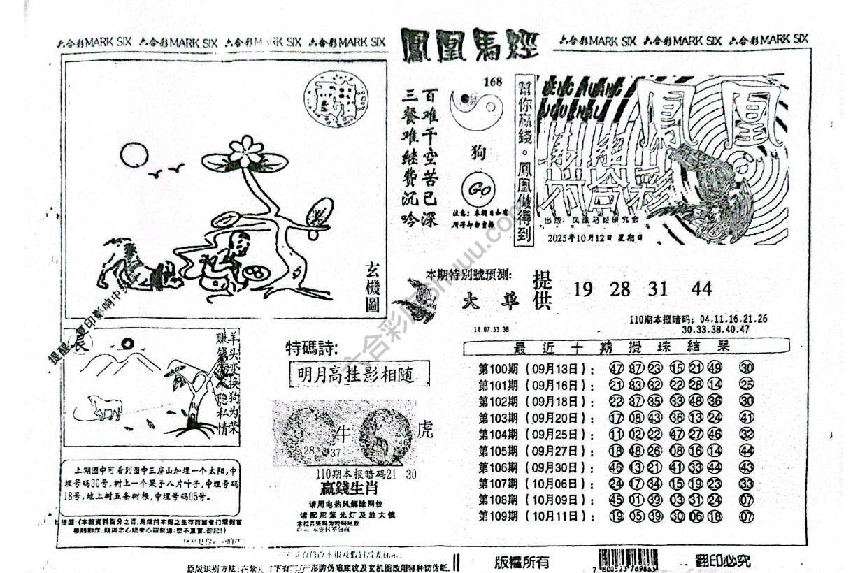 凤凰马经