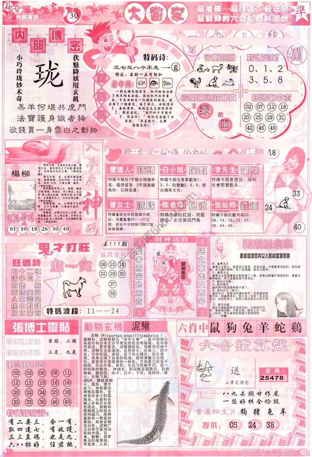 大当家