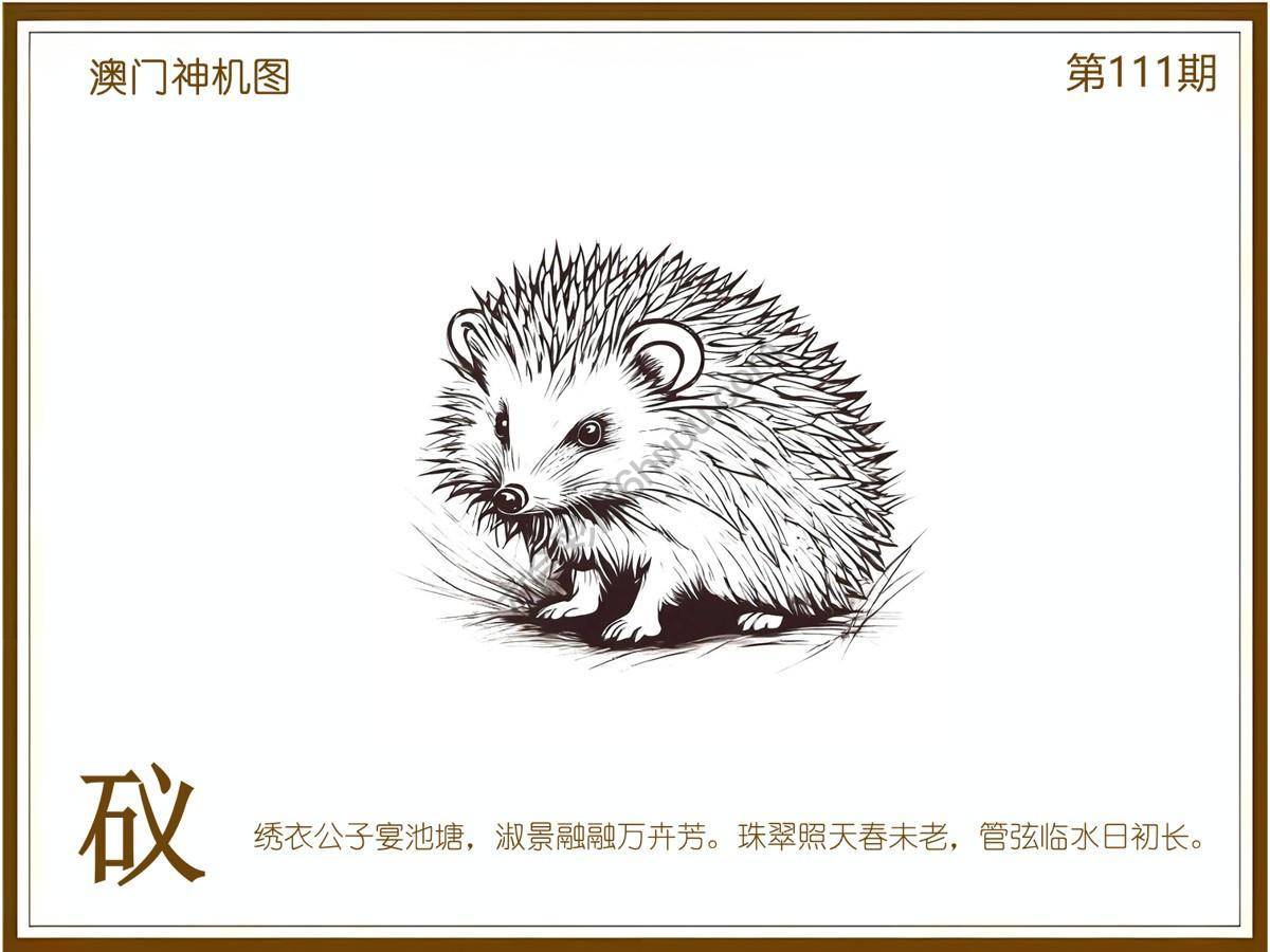 澳门神机图