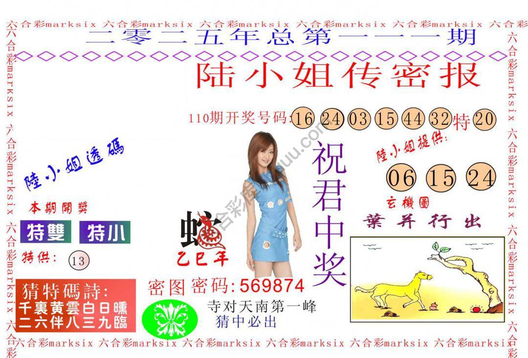陆小姐传密
