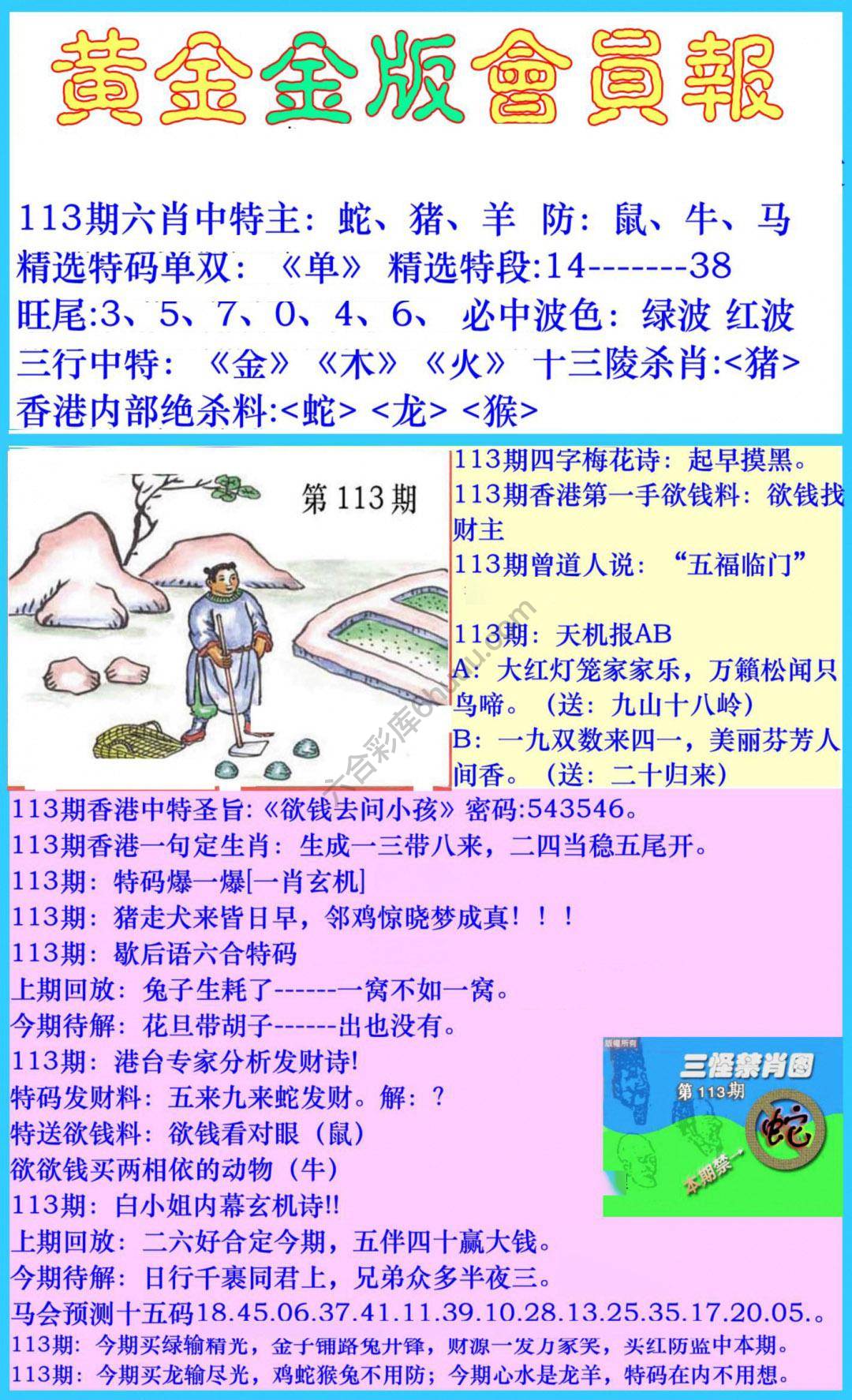黄金金版会员报