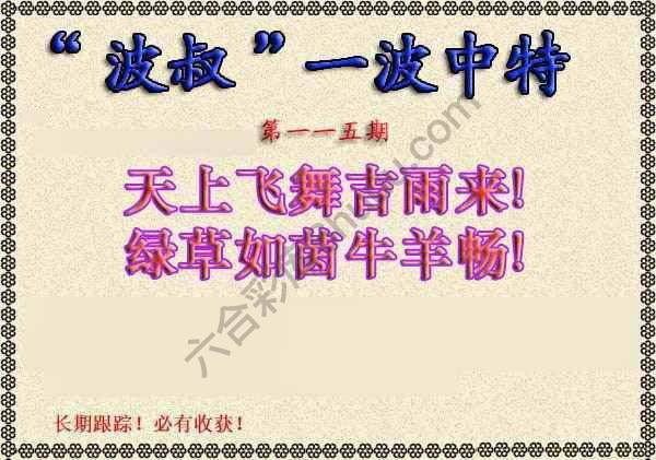波叔一波中特