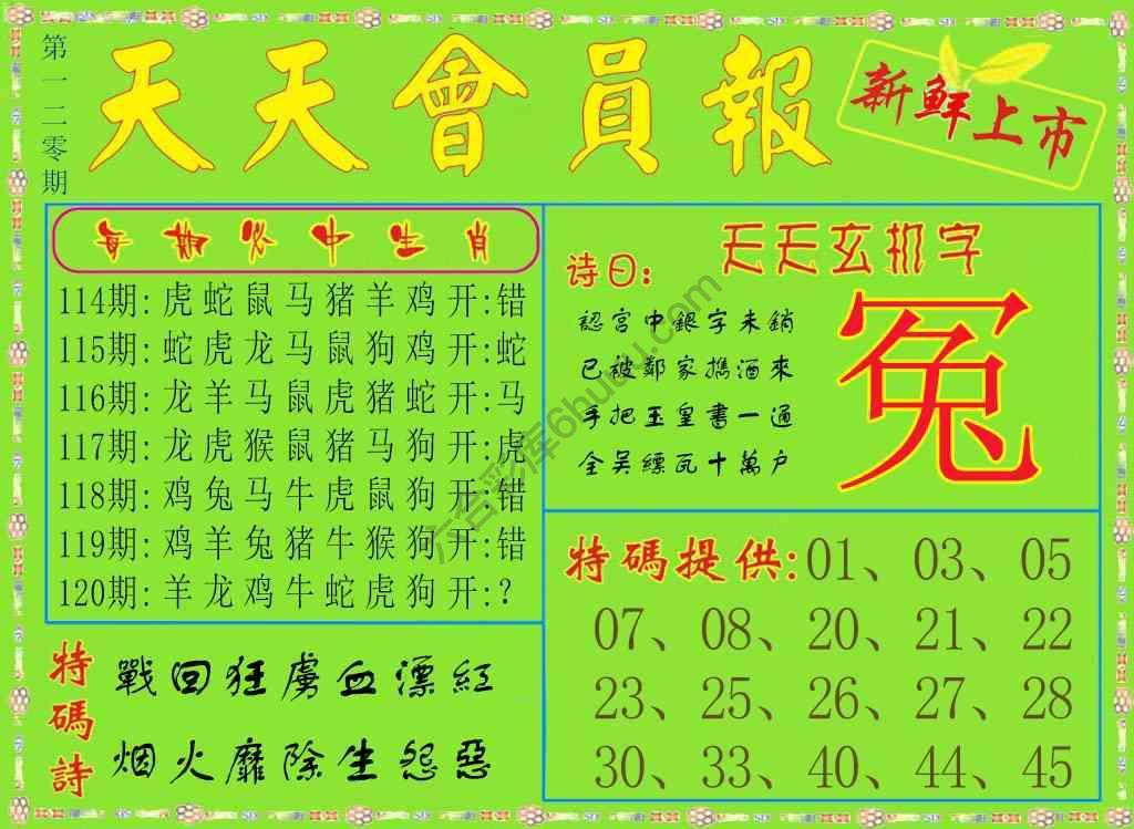 天天会员报