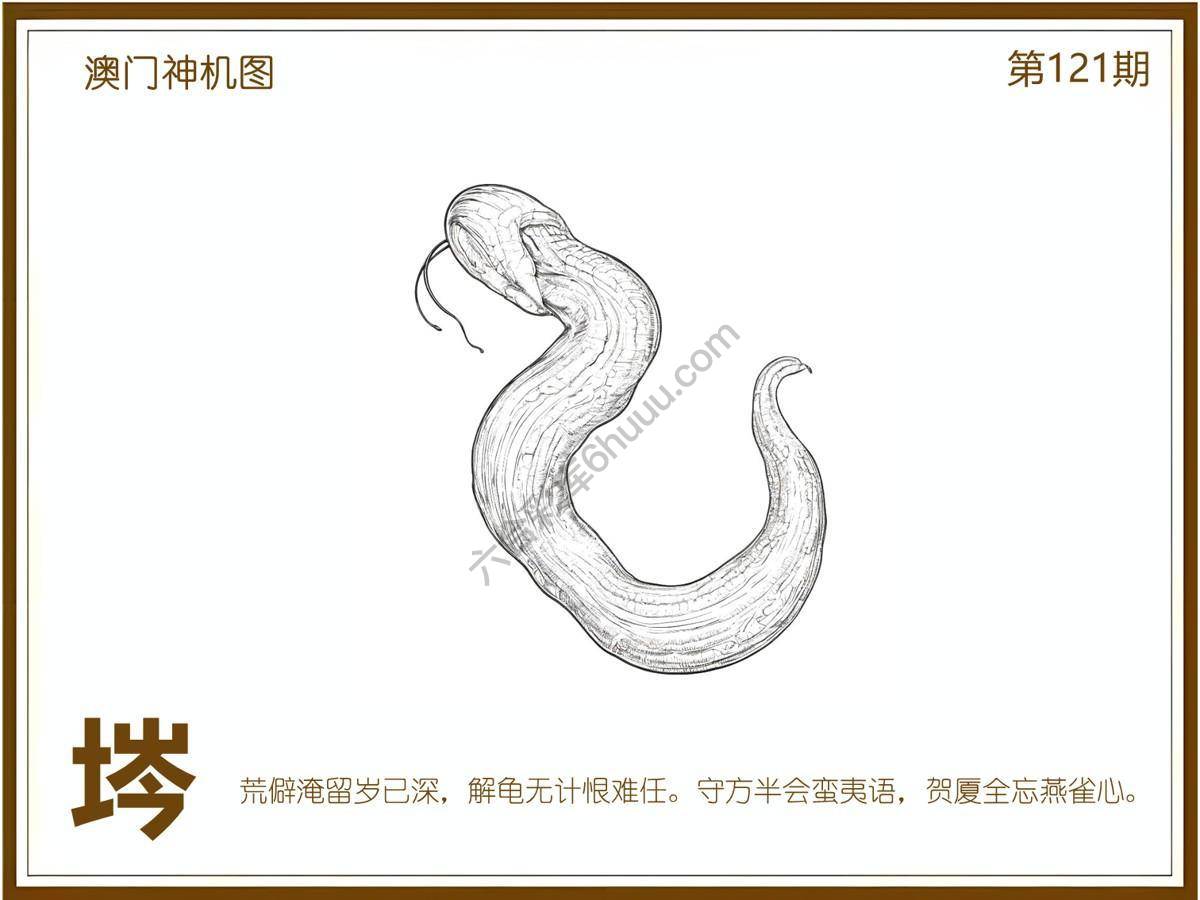 澳门神机图