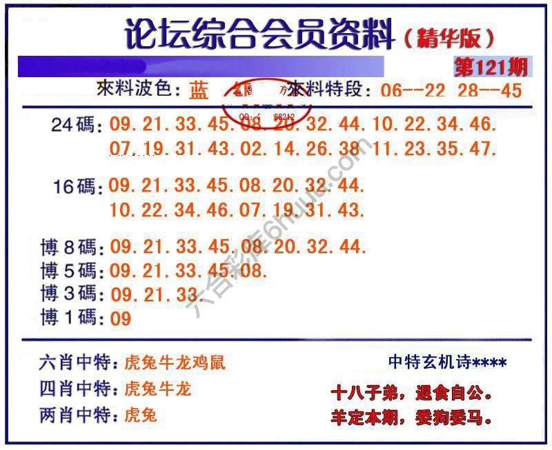 综合会员资料