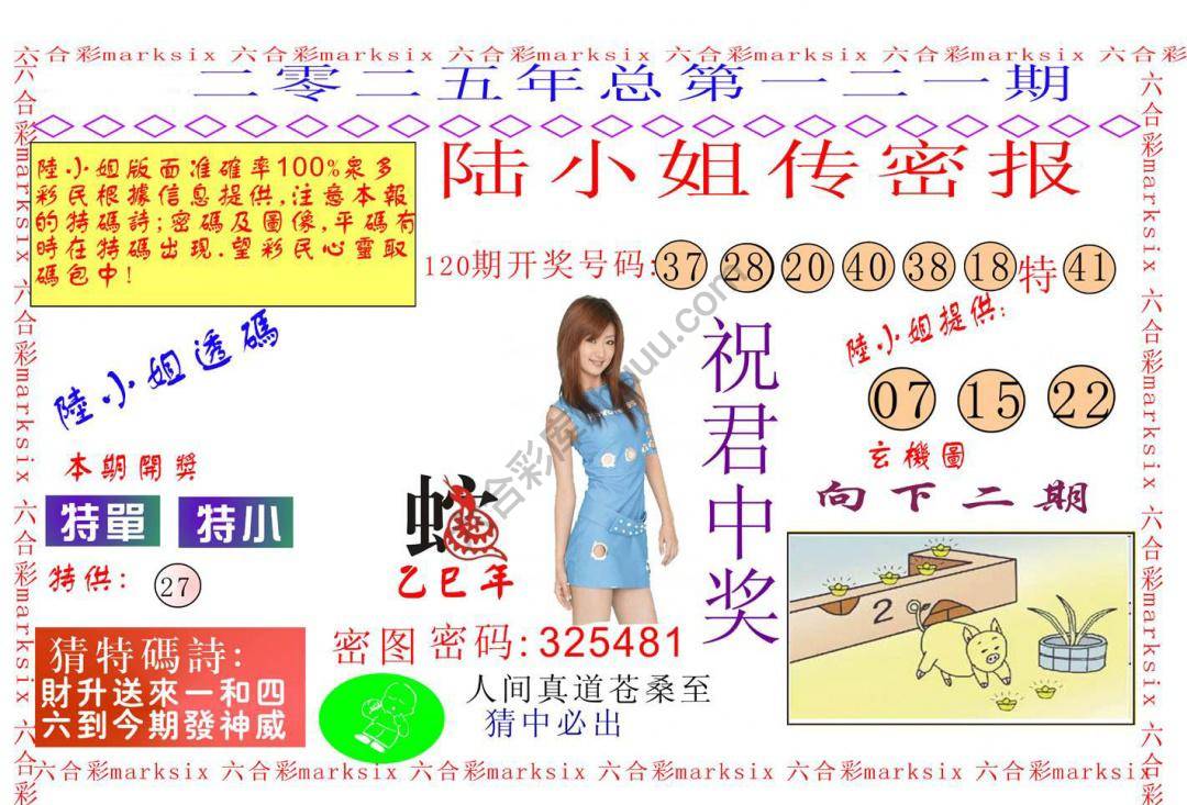 陆小姐传密