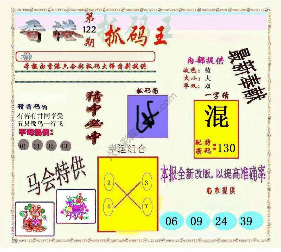 新抓码王