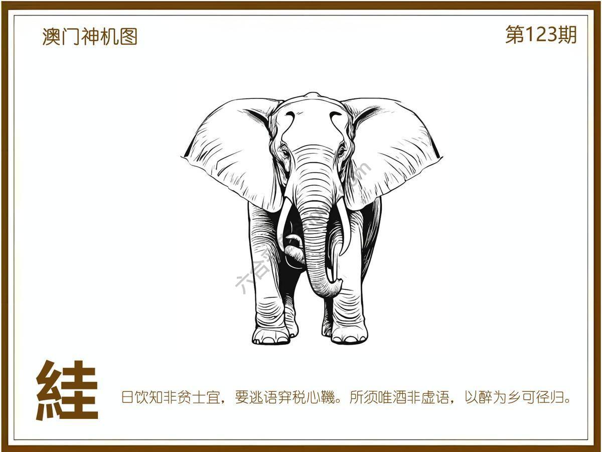 澳门神机图