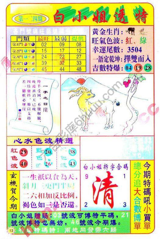 白小姐透特