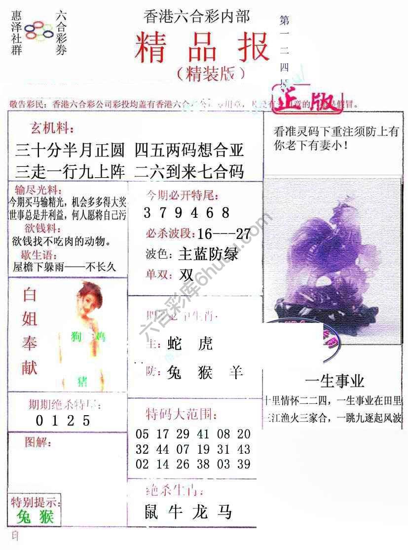新精品报