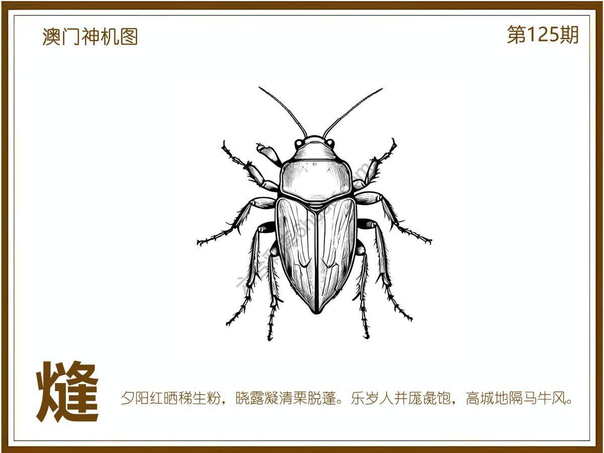澳门神机图