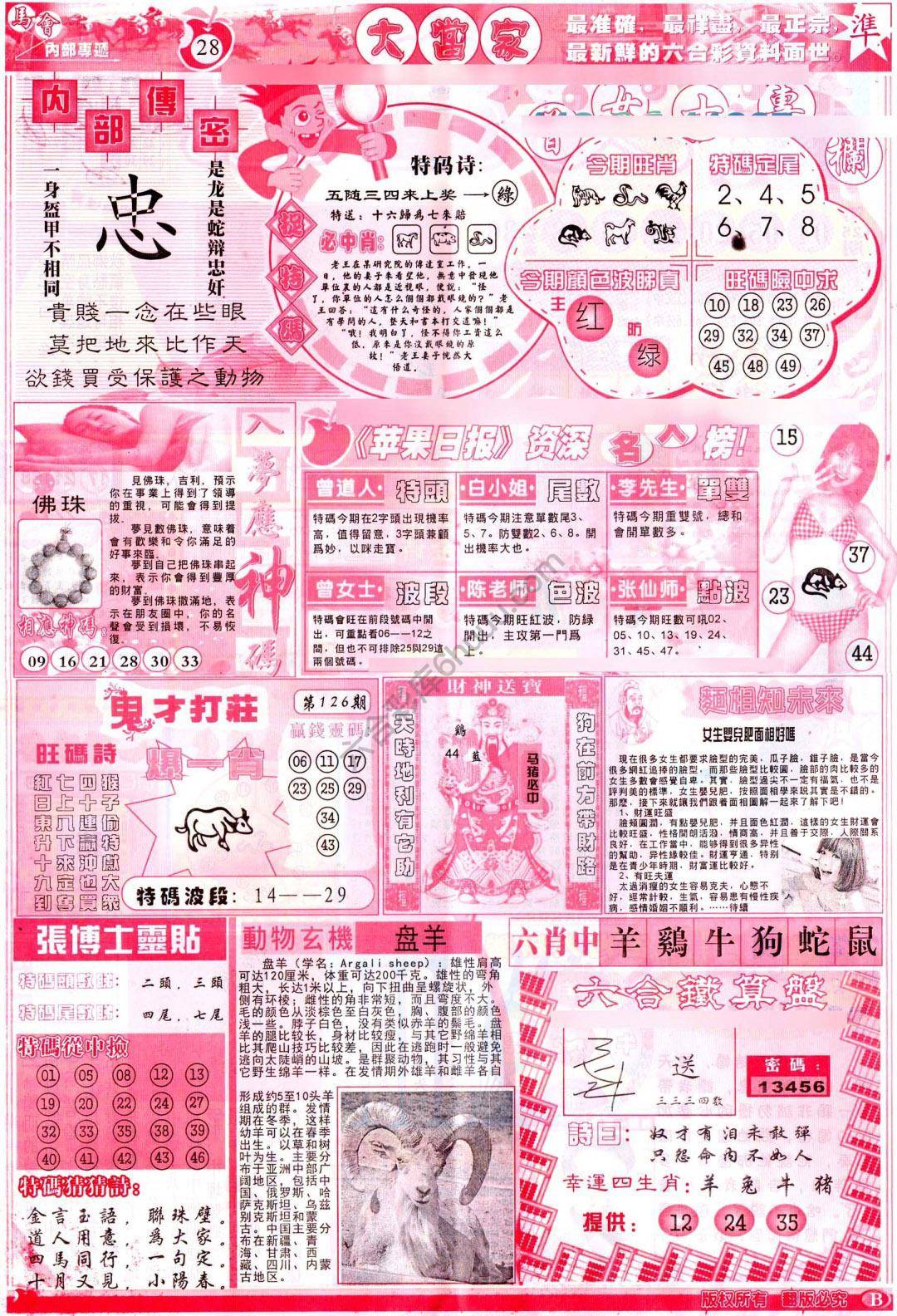 大当家