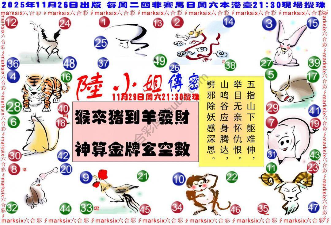 陆小姐传密