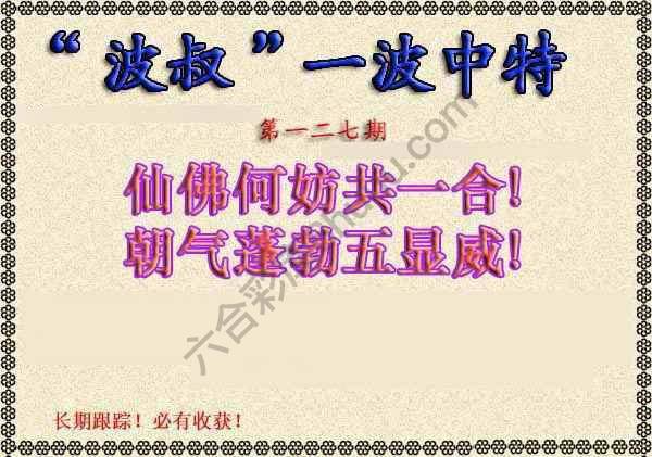 波叔一波中特