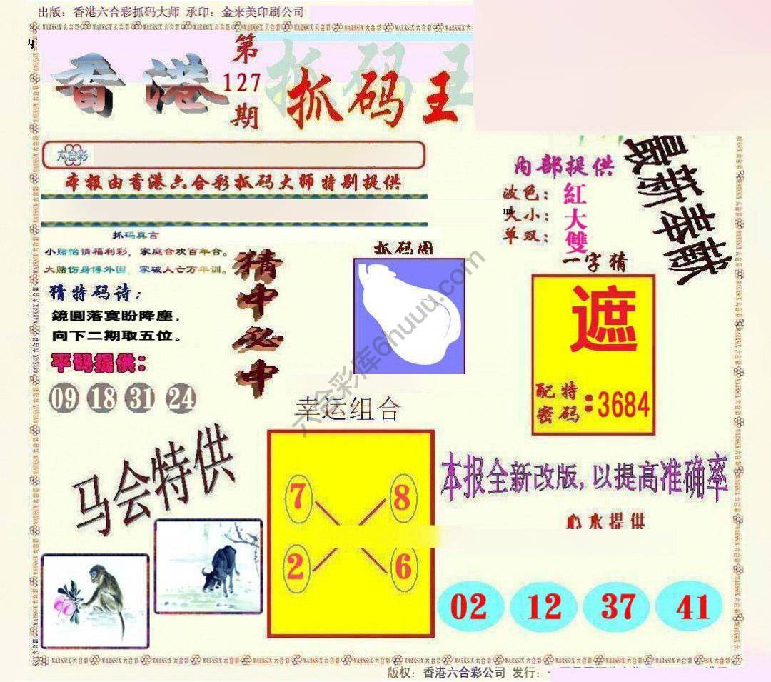 新抓码王