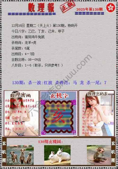 数理报