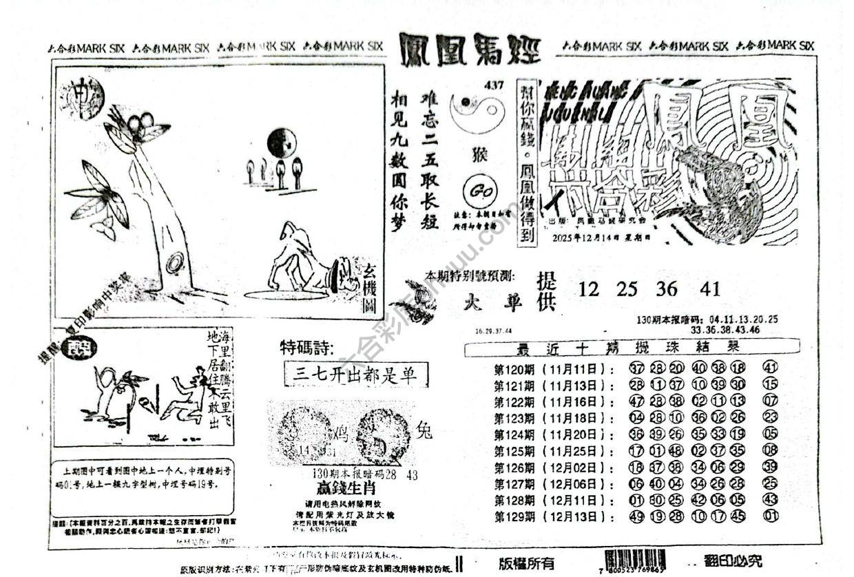 凤凰马经
