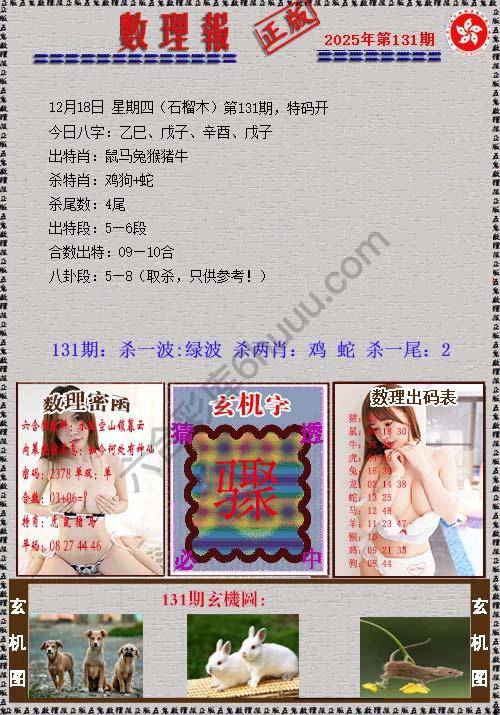 数理报