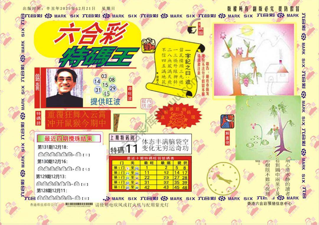 特码王