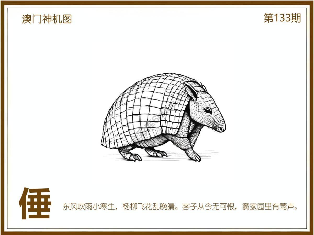 澳门神机图