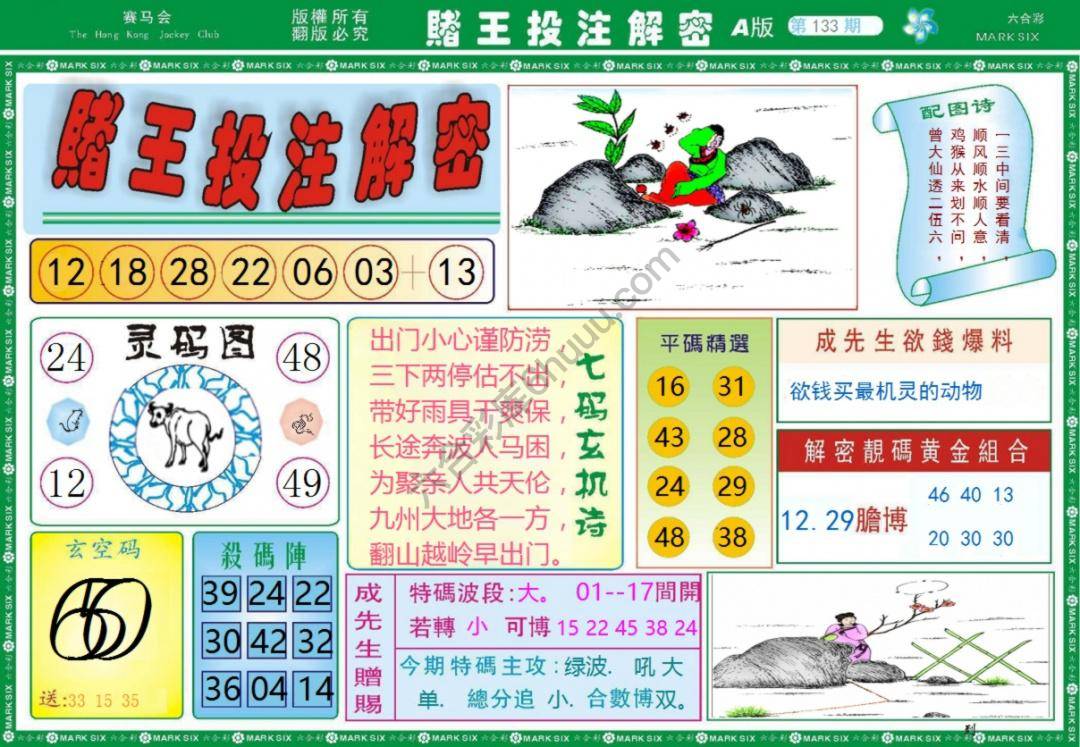 赌王投注解密