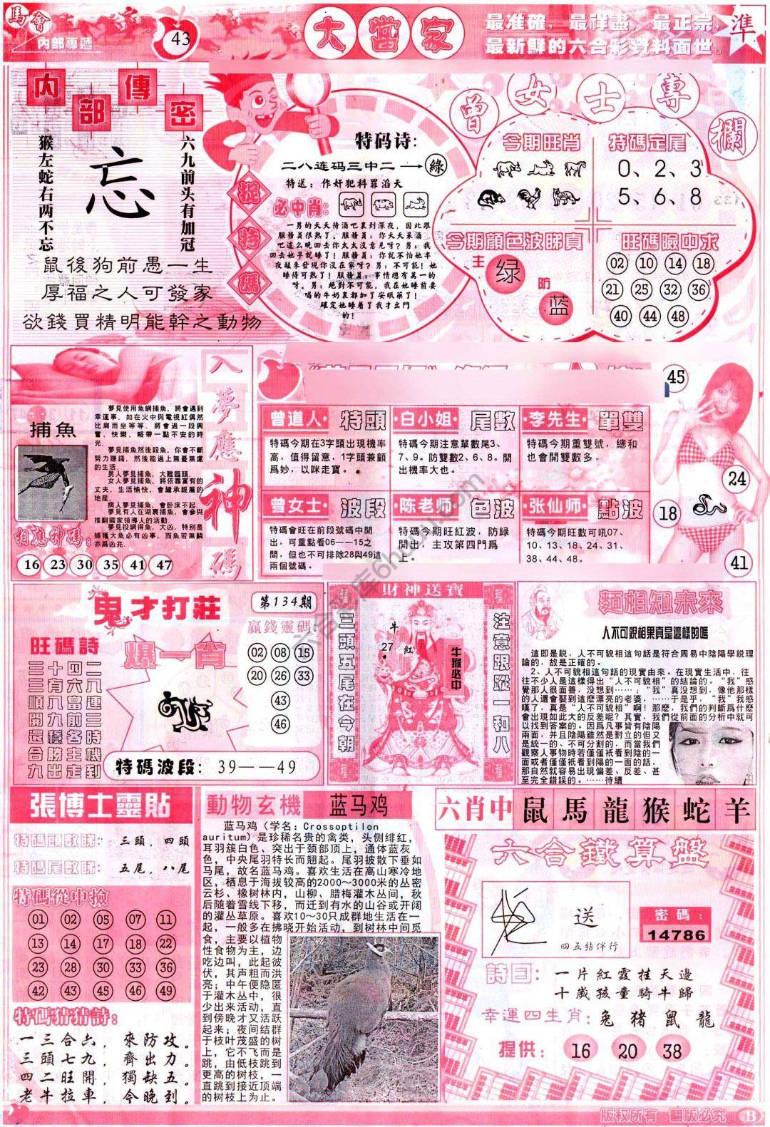 大当家