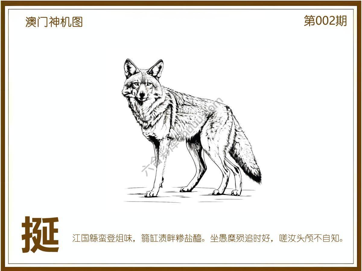澳门神机图