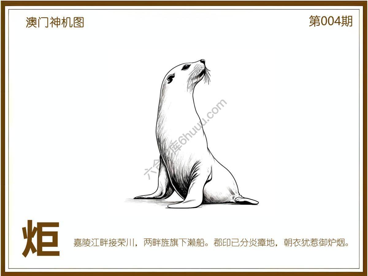 澳门神机图