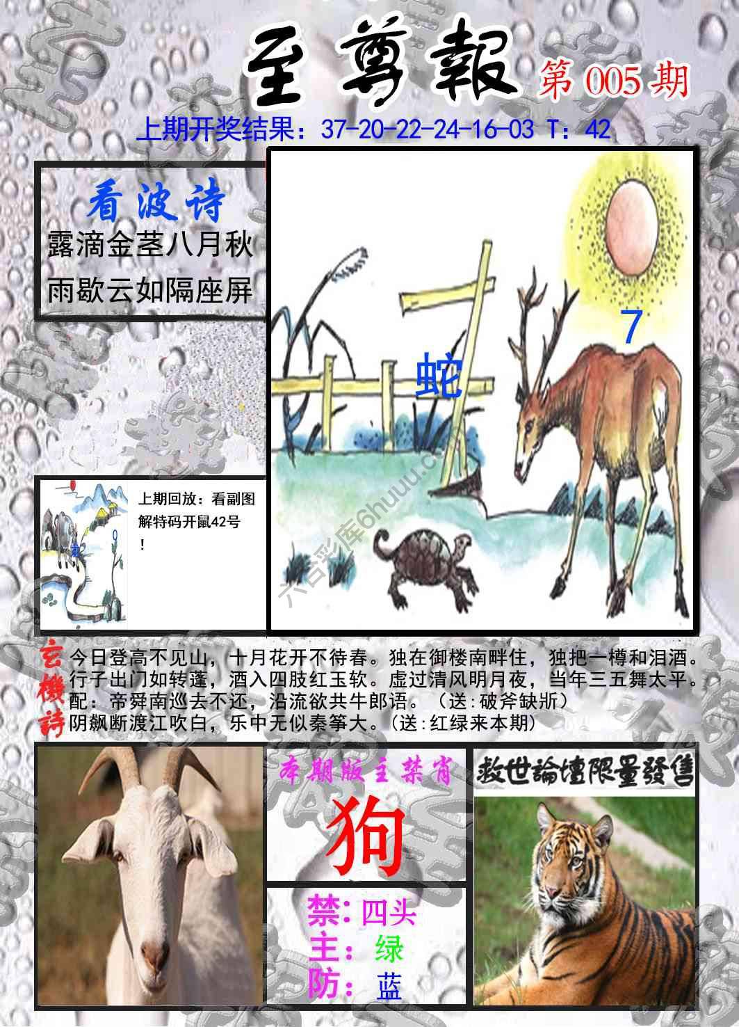 至尊报