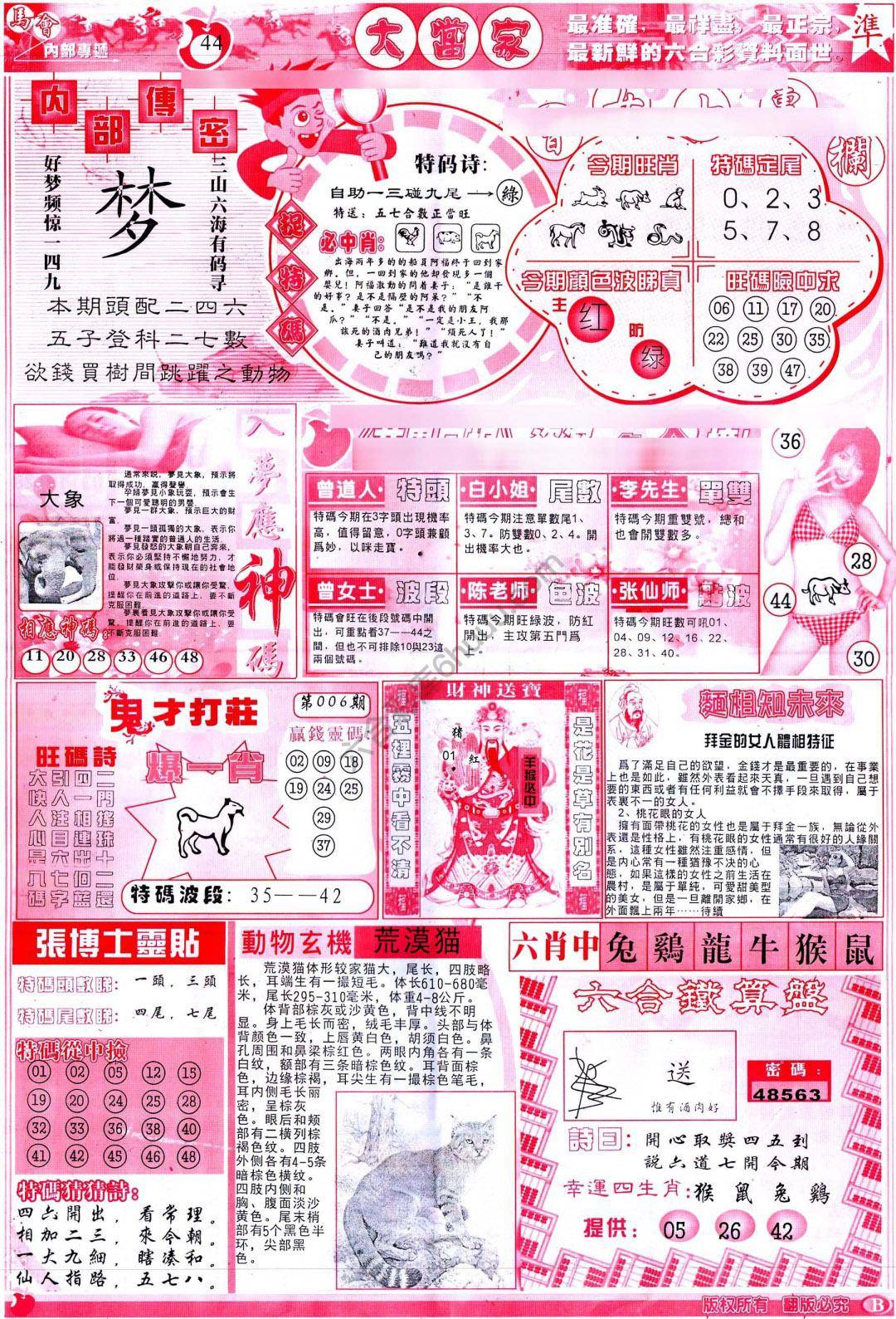 大当家