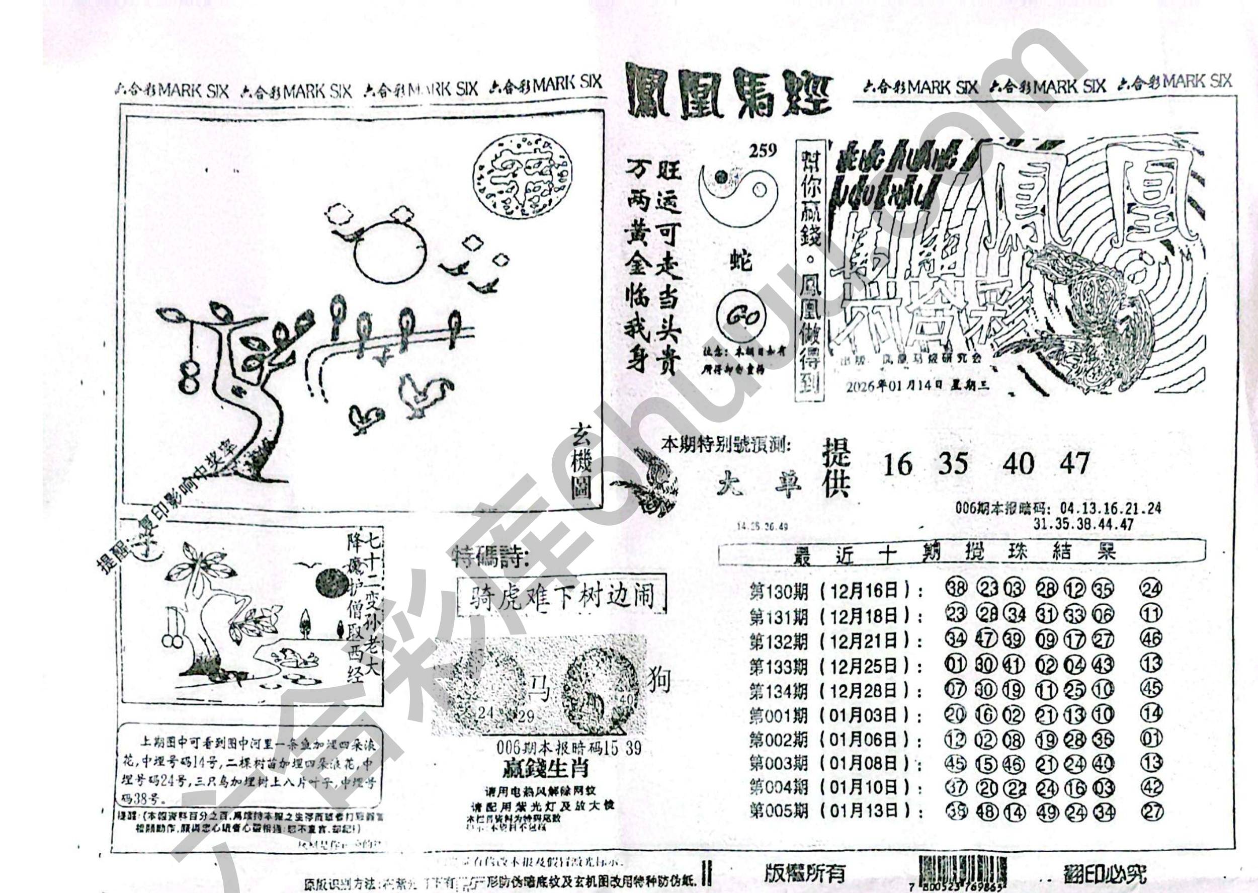 凤凰马经