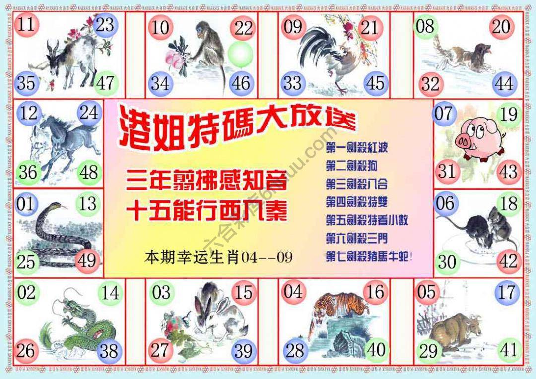 港姐密报