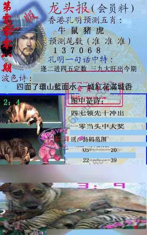 龙头报
